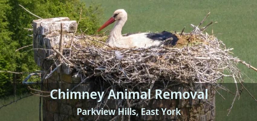Chimney Animal Removal Parkview Hills, East York - ON