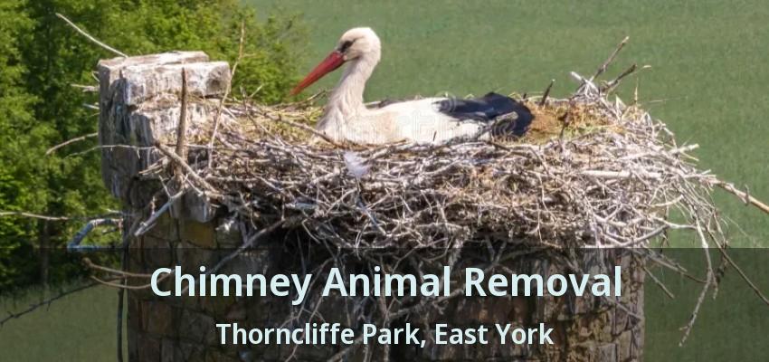 Chimney Animal Removal Thorncliffe Park, East York - ON