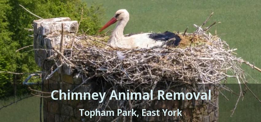 Chimney Animal Removal Topham Park, East York - ON