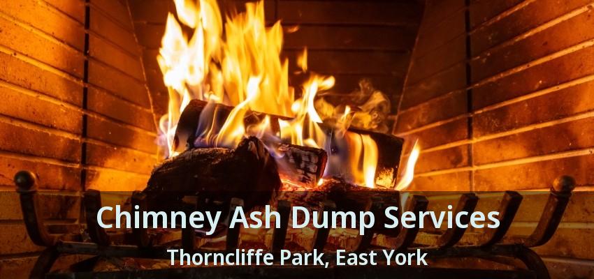 Chimney Ash Dump Services Thorncliffe Park, East York - ON