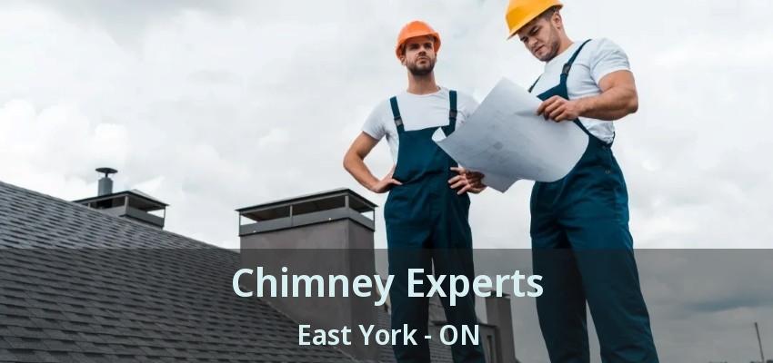 Chimney Experts East York - ON