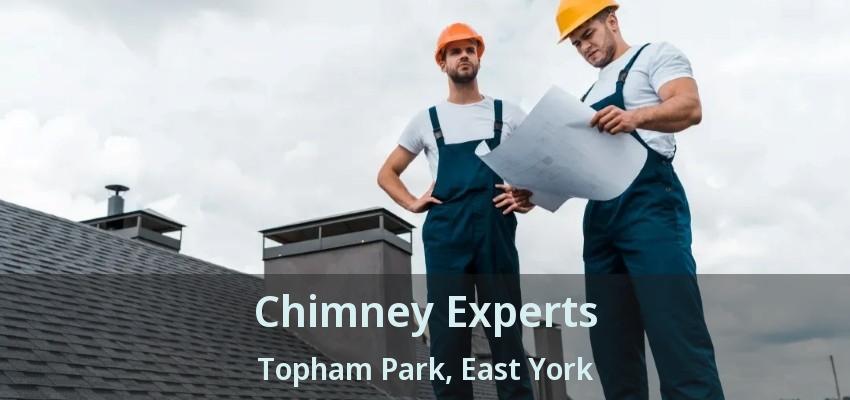 Chimney Experts Topham Park, East York - ON