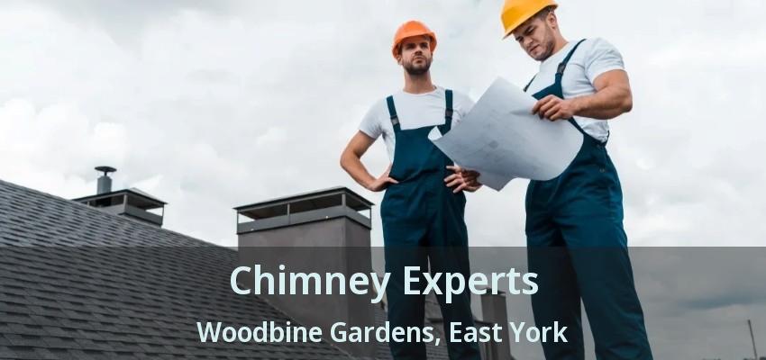 Chimney Experts Woodbine Gardens, East York - ON