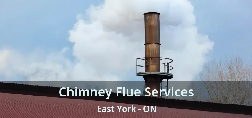 Chimney Flue Services East York - ON