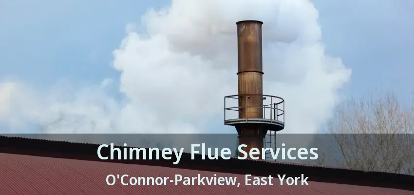 Chimney Flue Services O'Connor-Parkview, East York - ON