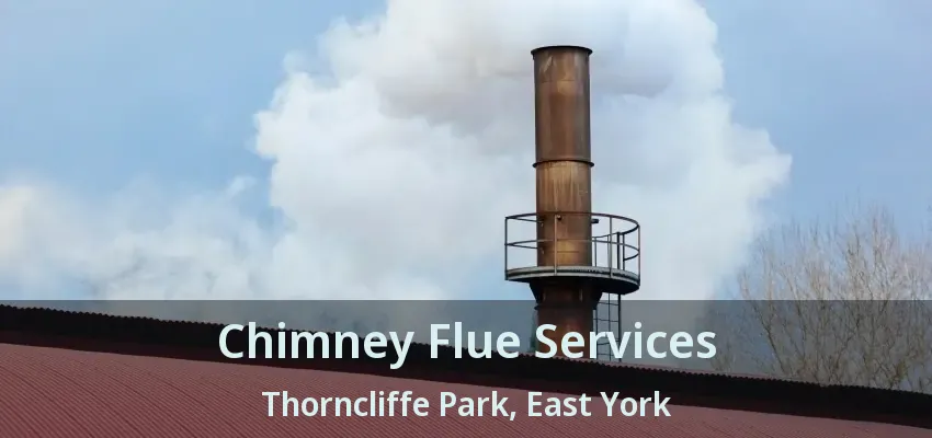 Chimney Flue Services Thorncliffe Park, East York - ON