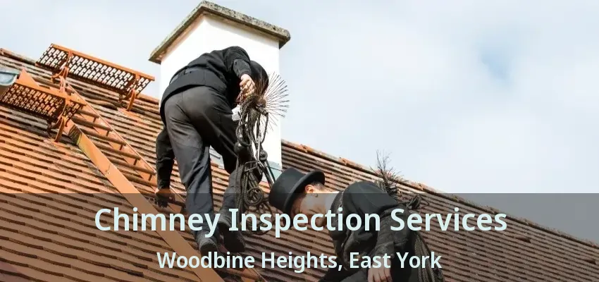 Chimney Inspection Services Woodbine Heights, East York - ON