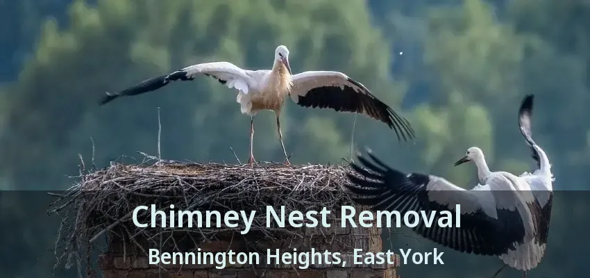 Chimney Nest Removal Bennington Heights, East York - ON