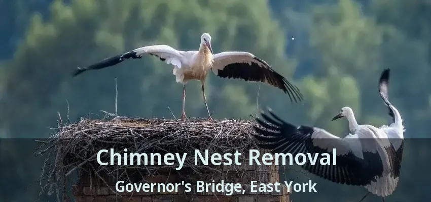 Chimney Nest Removal Governor's Bridge, East York - ON