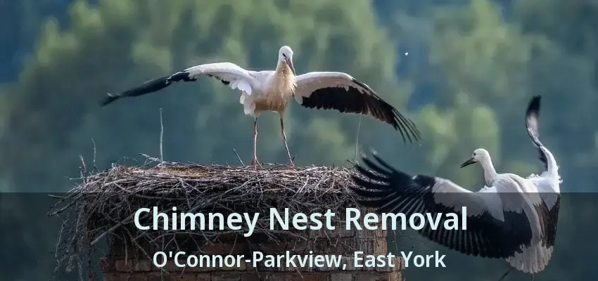 Chimney Nest Removal O'Connor-Parkview, East York - ON