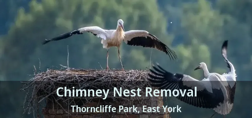 Chimney Nest Removal Thorncliffe Park, East York - ON