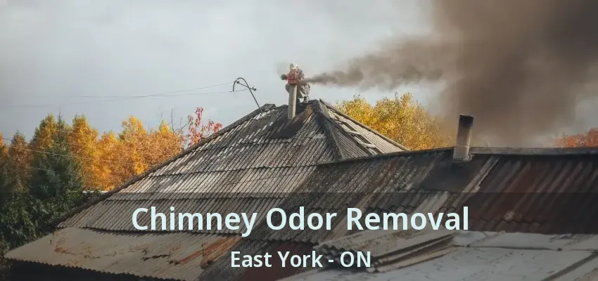 Chimney Odor Removal East York - ON