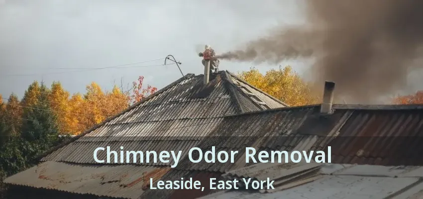 Chimney Odor Removal Leaside, East York - ON