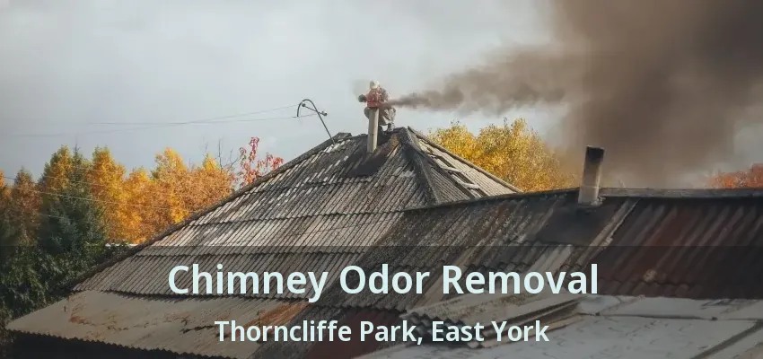Chimney Odor Removal Thorncliffe Park, East York - ON