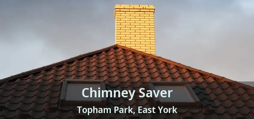 Chimney Saver Topham Park, East York - ON