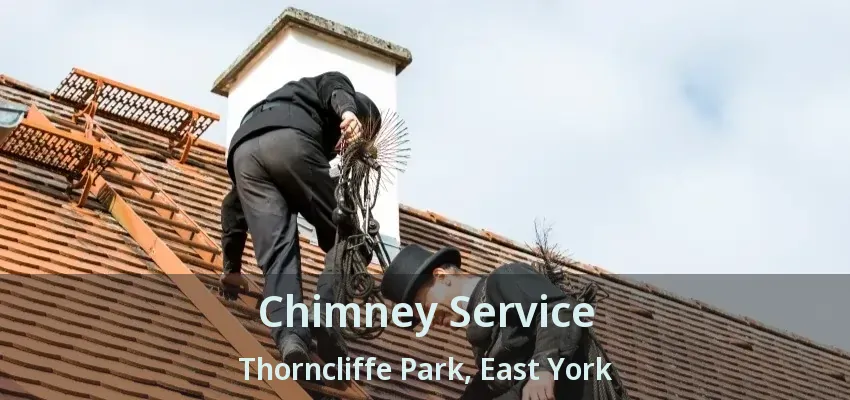 Chimney Service Thorncliffe Park, East York - ON