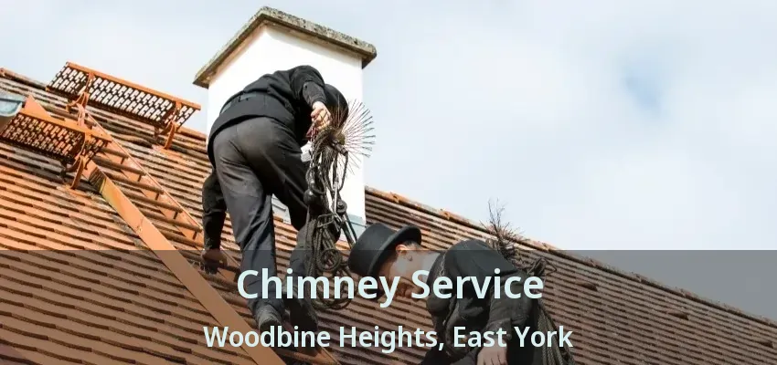 Chimney Service Woodbine Heights, East York - ON