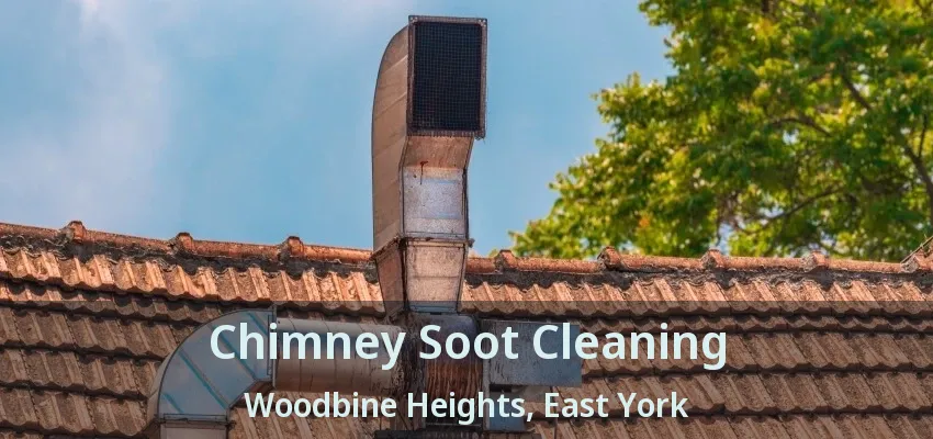 Chimney Soot Cleaning Woodbine Heights, East York - ON