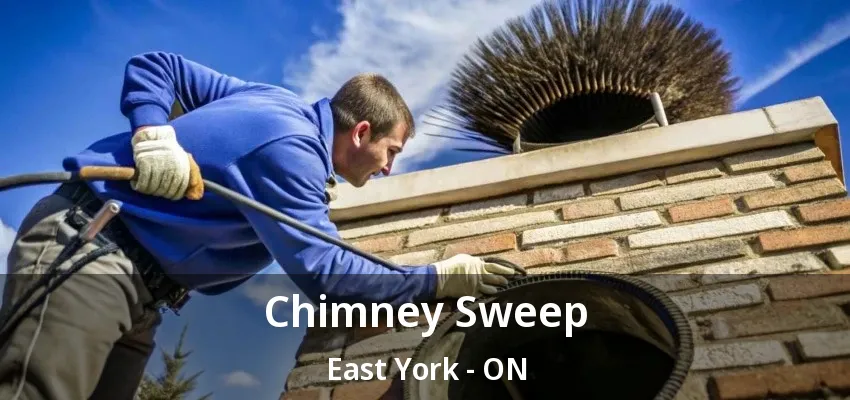 Chimney Sweep East York - ON
