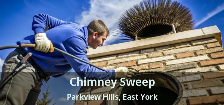 Chimney Sweep Parkview Hills, East York - ON