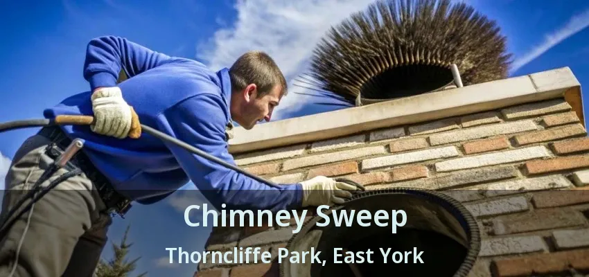 Chimney Sweep Thorncliffe Park, East York - ON