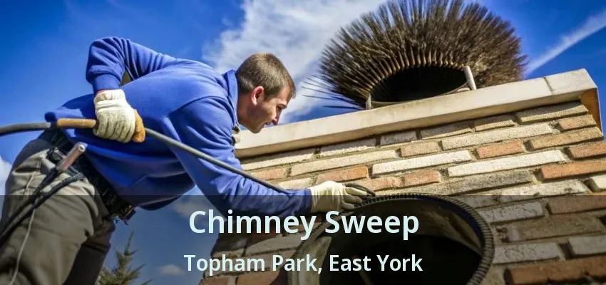 Chimney Sweep Topham Park, East York - ON