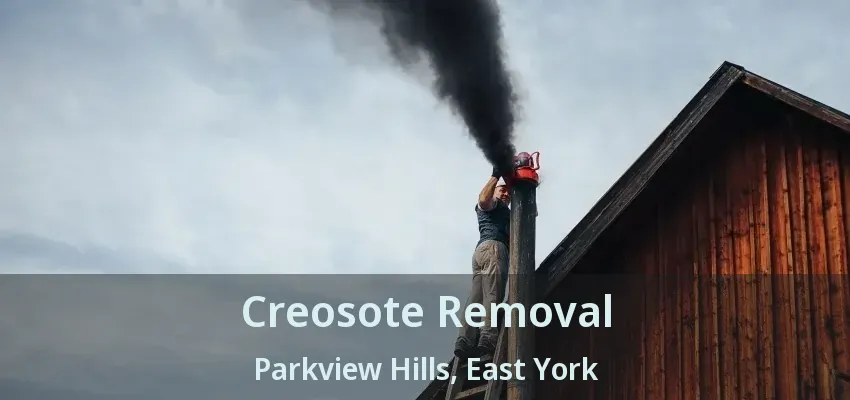 Creosote Removal Parkview Hills, East York - ON