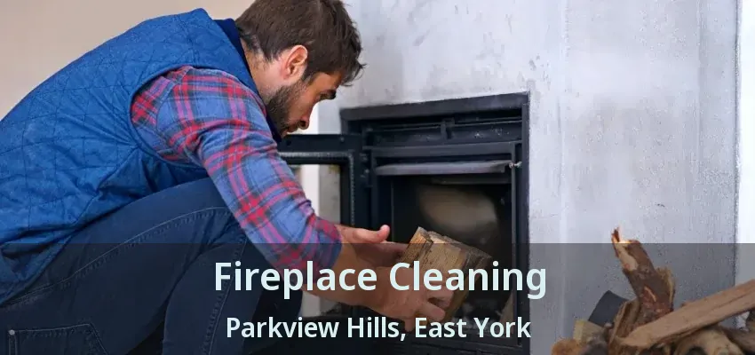 Fireplace Cleaning Parkview Hills, East York - ON