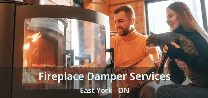 Fireplace Damper Services East York - ON