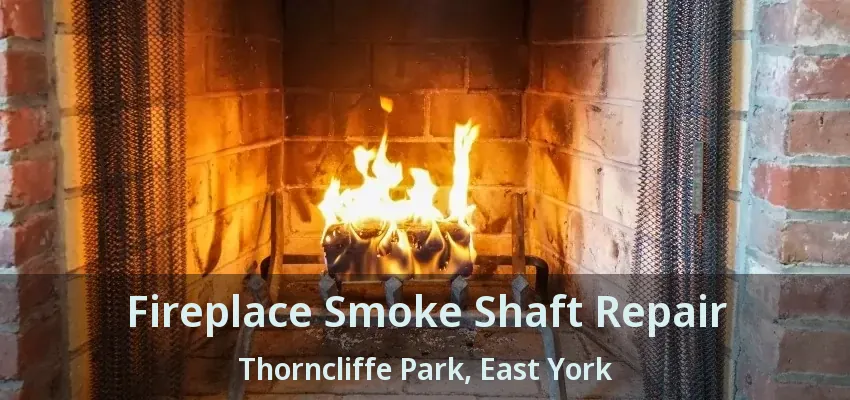Fireplace Smoke Shaft Repair Thorncliffe Park, East York - ON