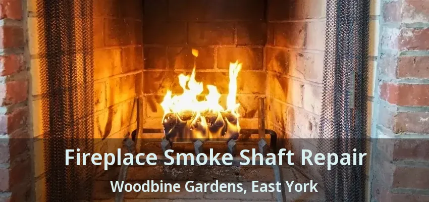 Fireplace Smoke Shaft Repair Woodbine Gardens, East York - ON