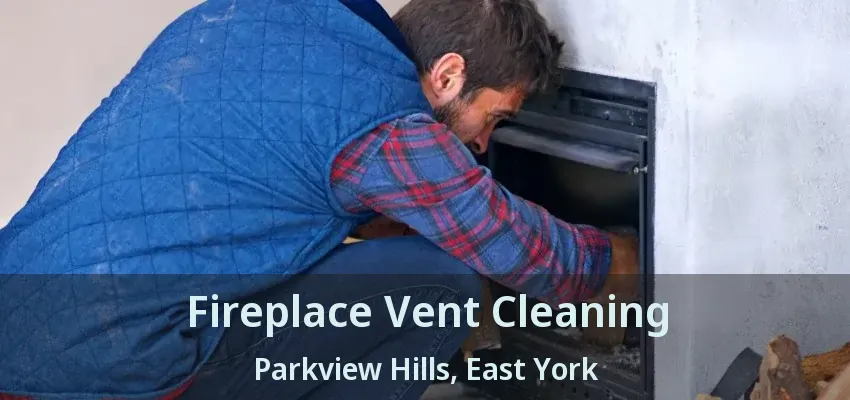 Fireplace Vent Cleaning Parkview Hills, East York - ON