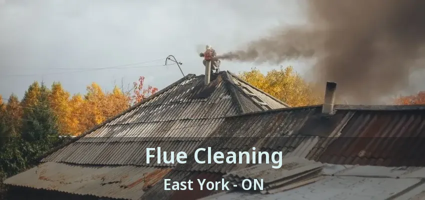 Flue Cleaning East York - ON