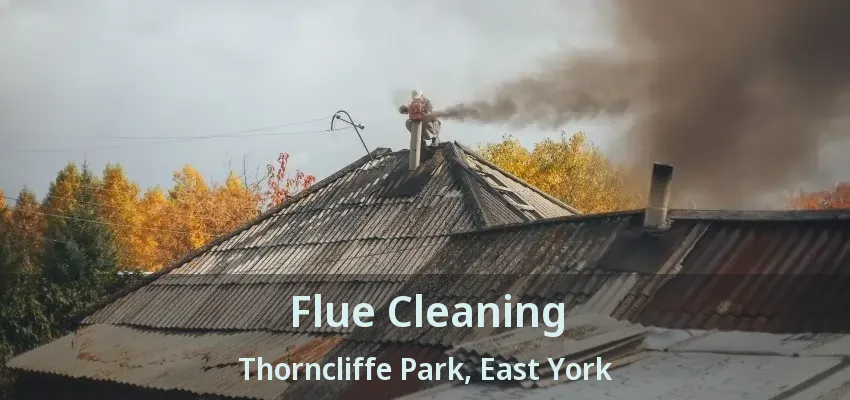 Flue Cleaning Thorncliffe Park, East York - ON