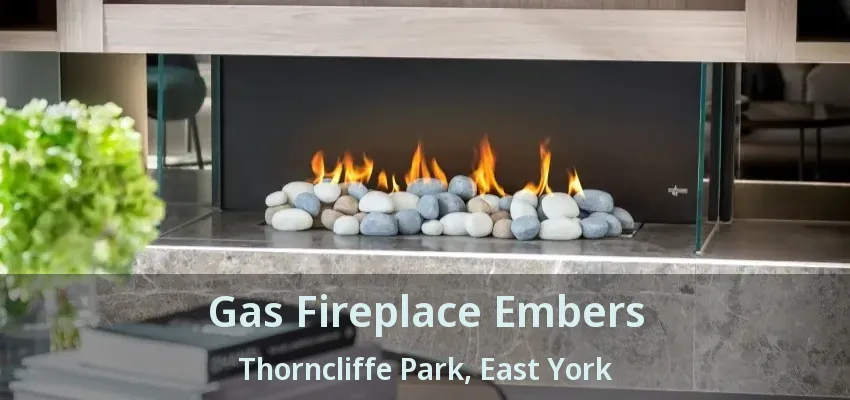 Gas Fireplace Embers Thorncliffe Park, East York - ON