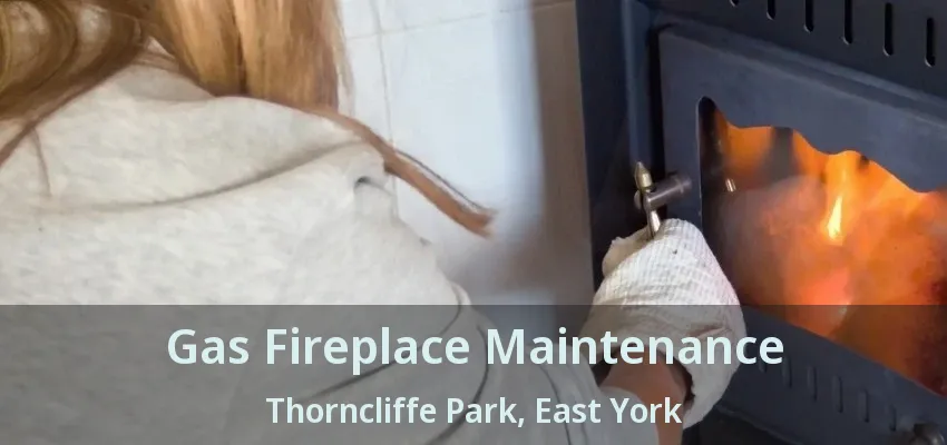 Gas Fireplace Maintenance Thorncliffe Park, East York - ON