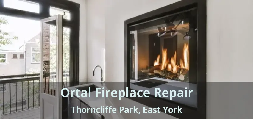 Ortal Fireplace Repair Thorncliffe Park, East York - ON