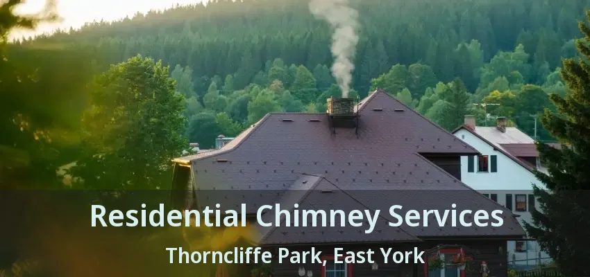 Residential Chimney Services Thorncliffe Park, East York - ON