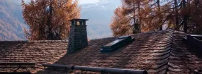 Chimney Animal Removal Thorncliffe Park, East York